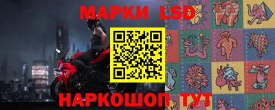 гидра Будённовск
