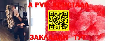 гидра Будённовск