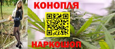 гидра Будённовск